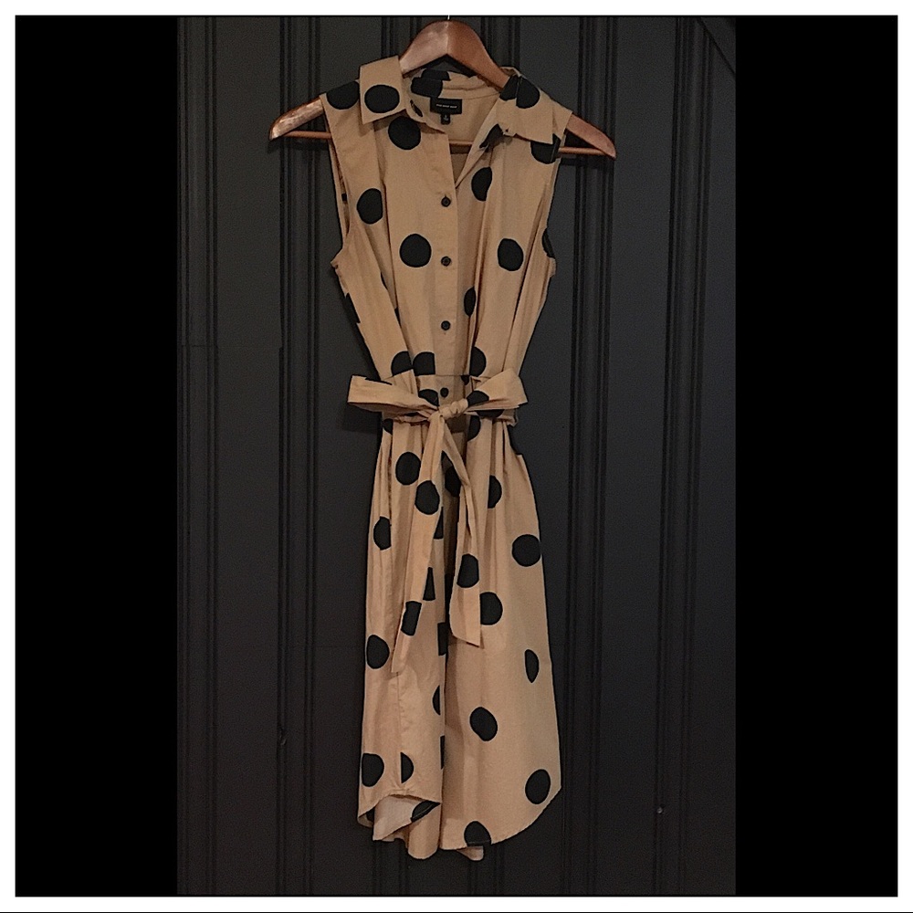 Polka Dot Dress- Who What Wear